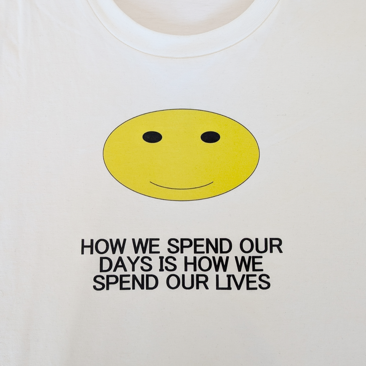 How We Spend Our Days T Shirt